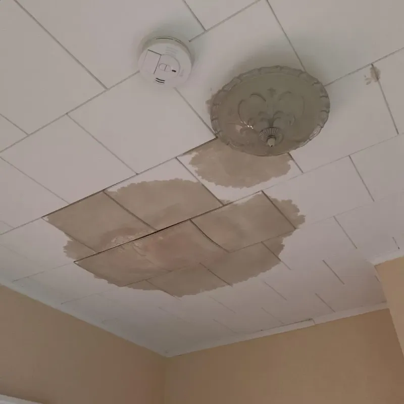 Ceiling Water Damage Repair in Windham, OH