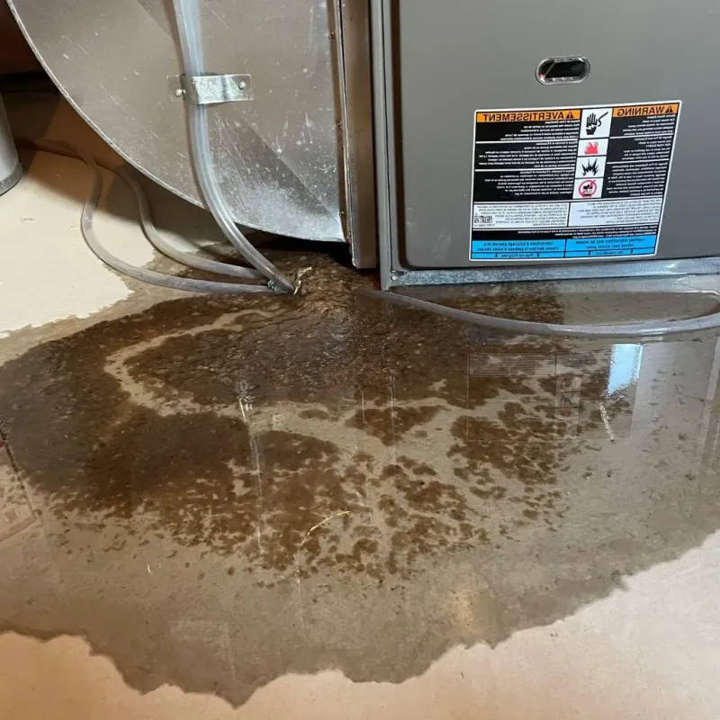 Pipe Burst and Leak Restoration in Windham, OH