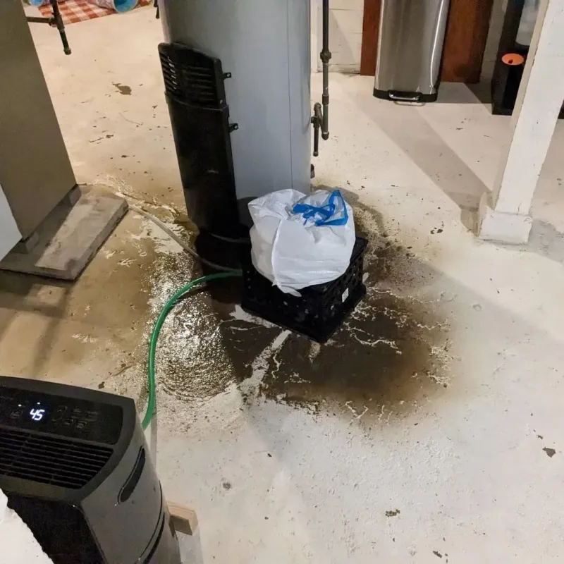 Sewage Backup Cleanup Service in Windham, OH